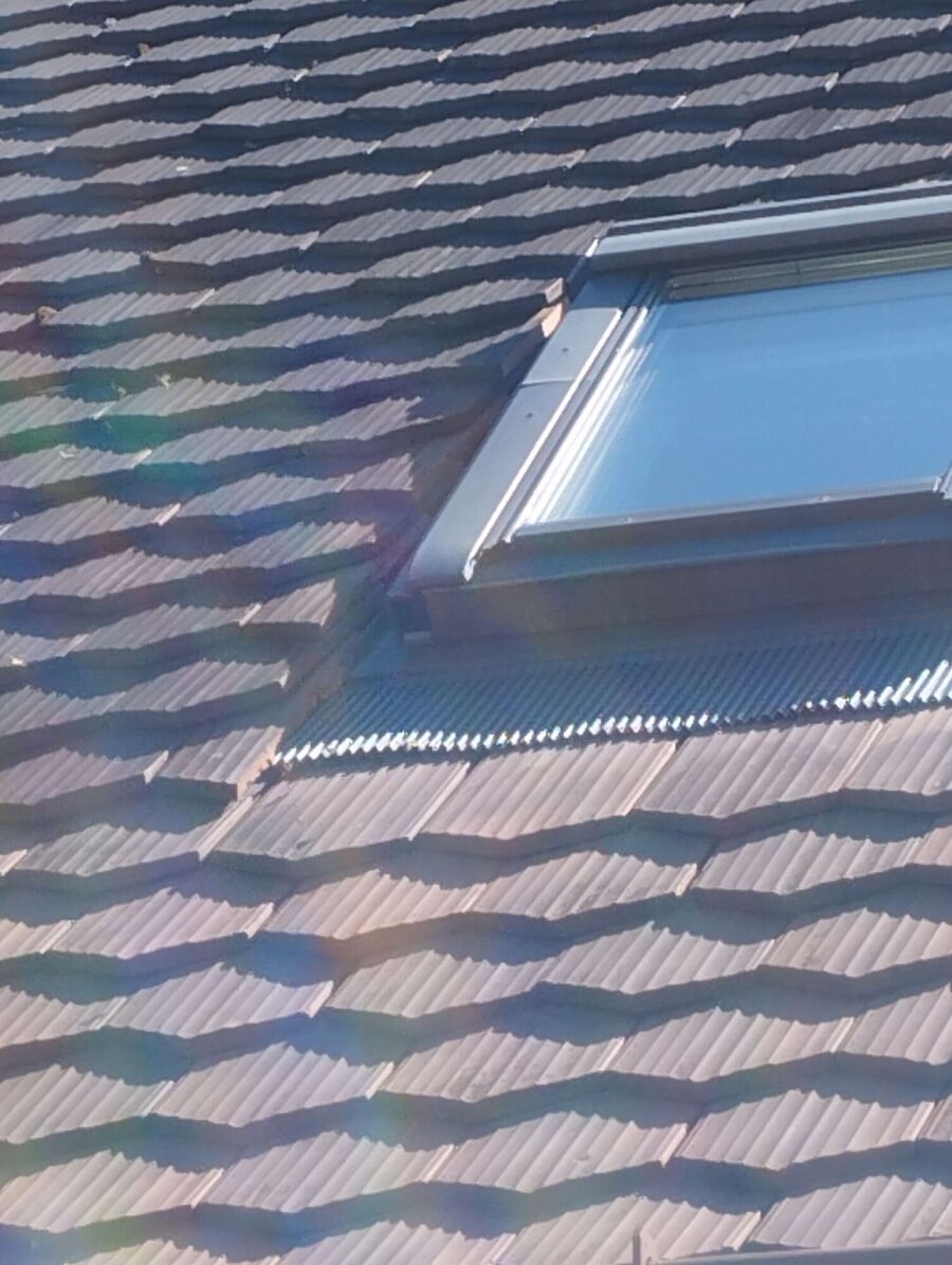 Bee nest at the house remove