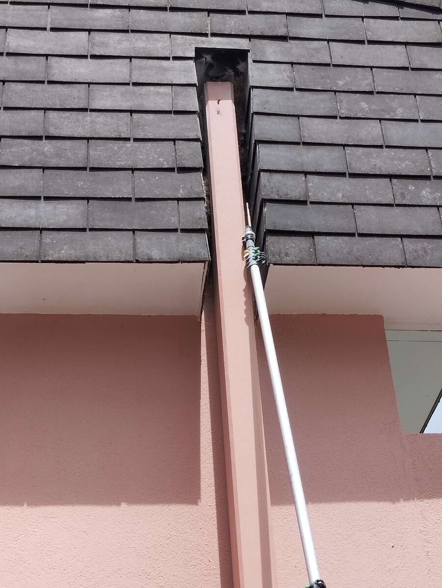 Bee nest at the house remove