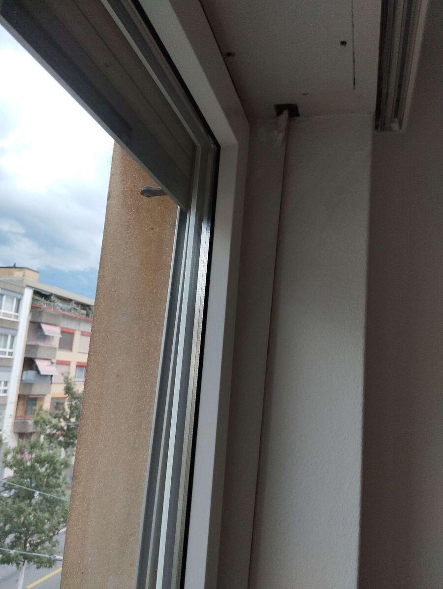 Bee nest at the house remove