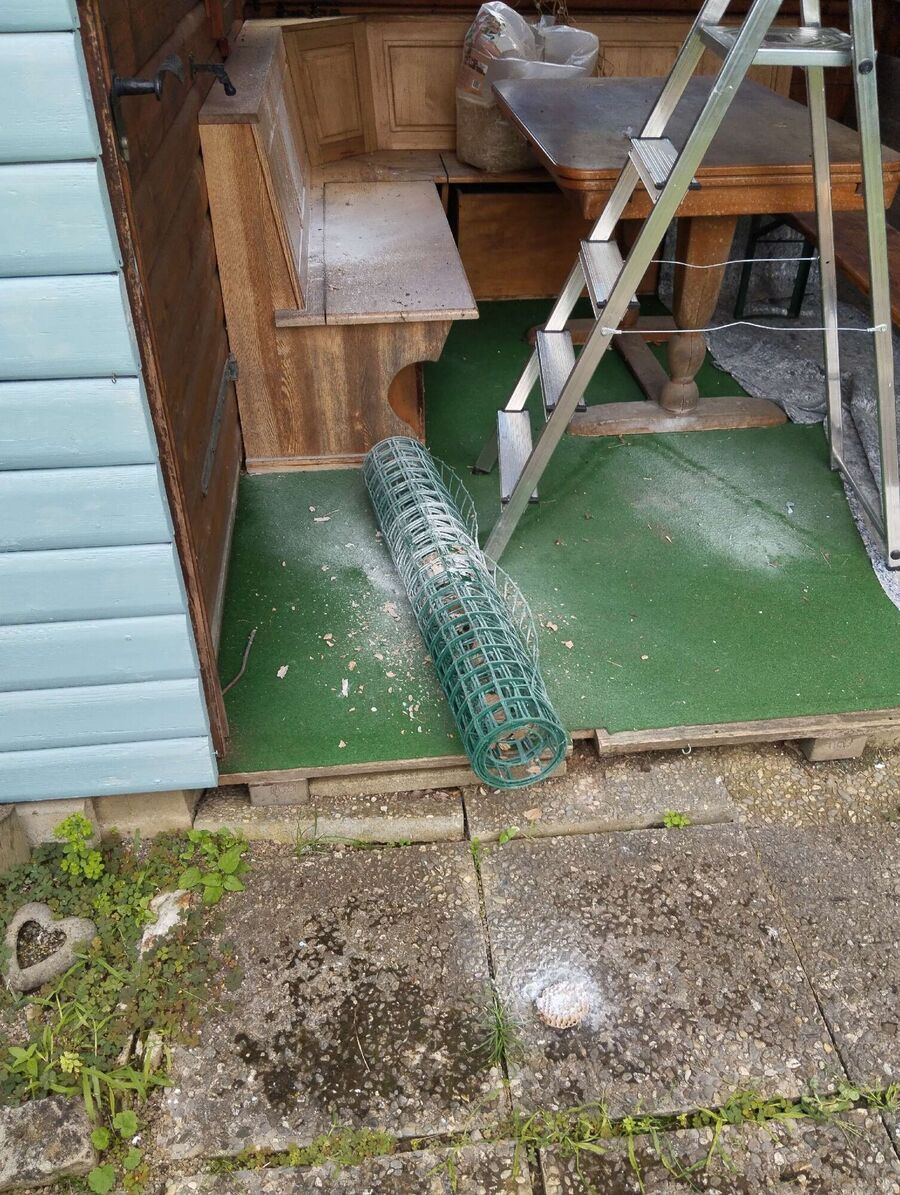 Bee nest at the house remove