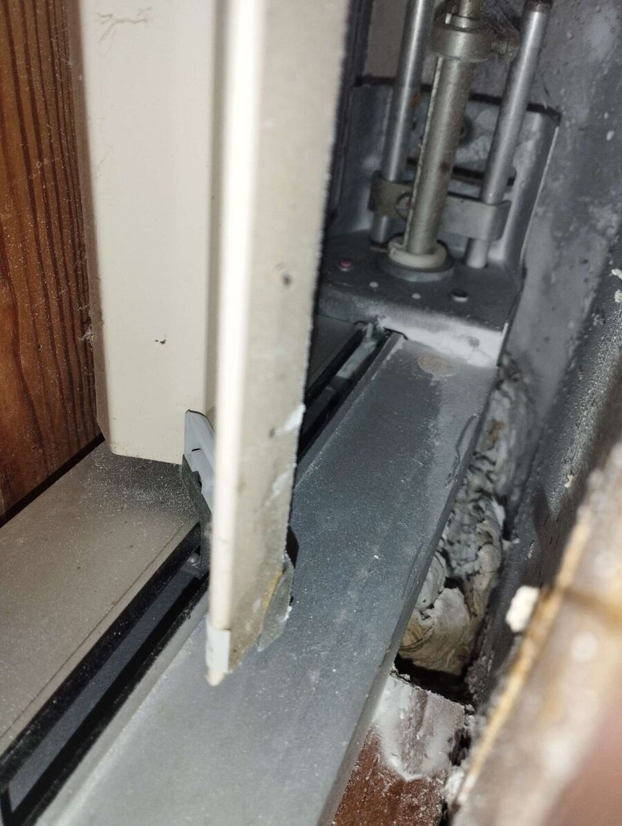 Relocate bees & remove bee nest