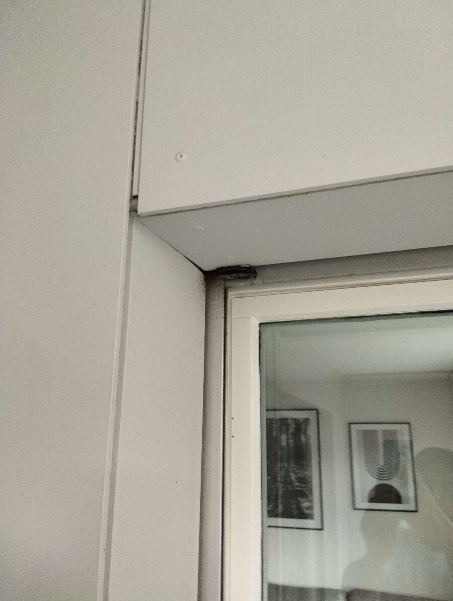 Relocate bees & remove bee nest