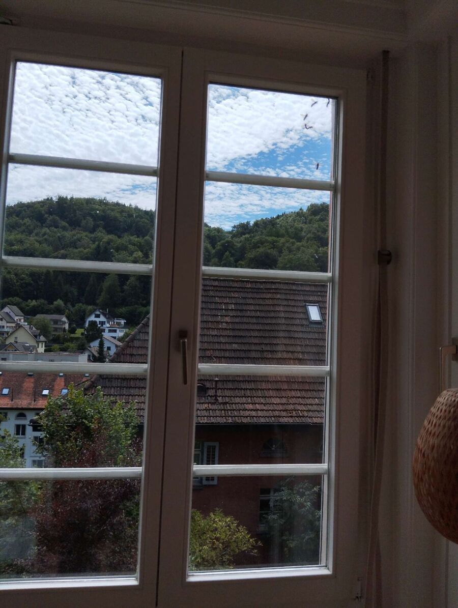 Bee nest at the house remove