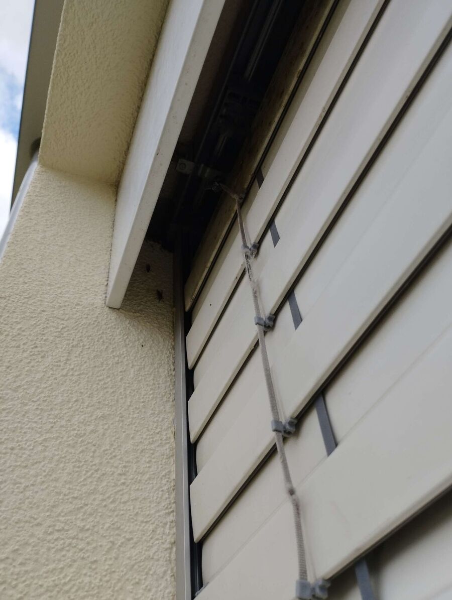 Relocate bees & remove bee nest