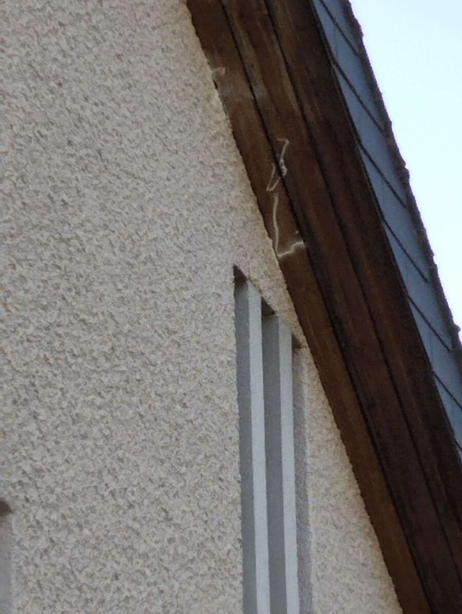 Bee nest at the house remove