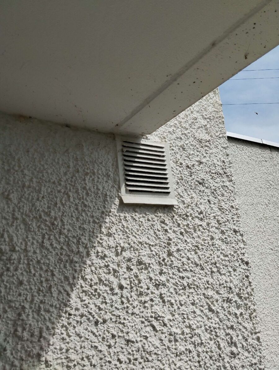 Relocate bees & remove bee nest