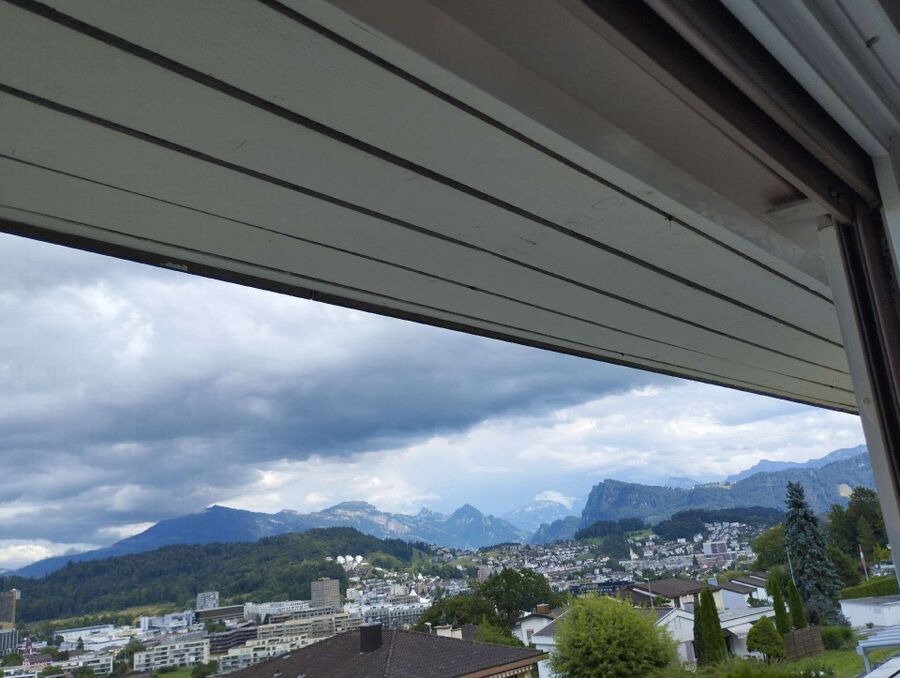 Bee nest at the house remove