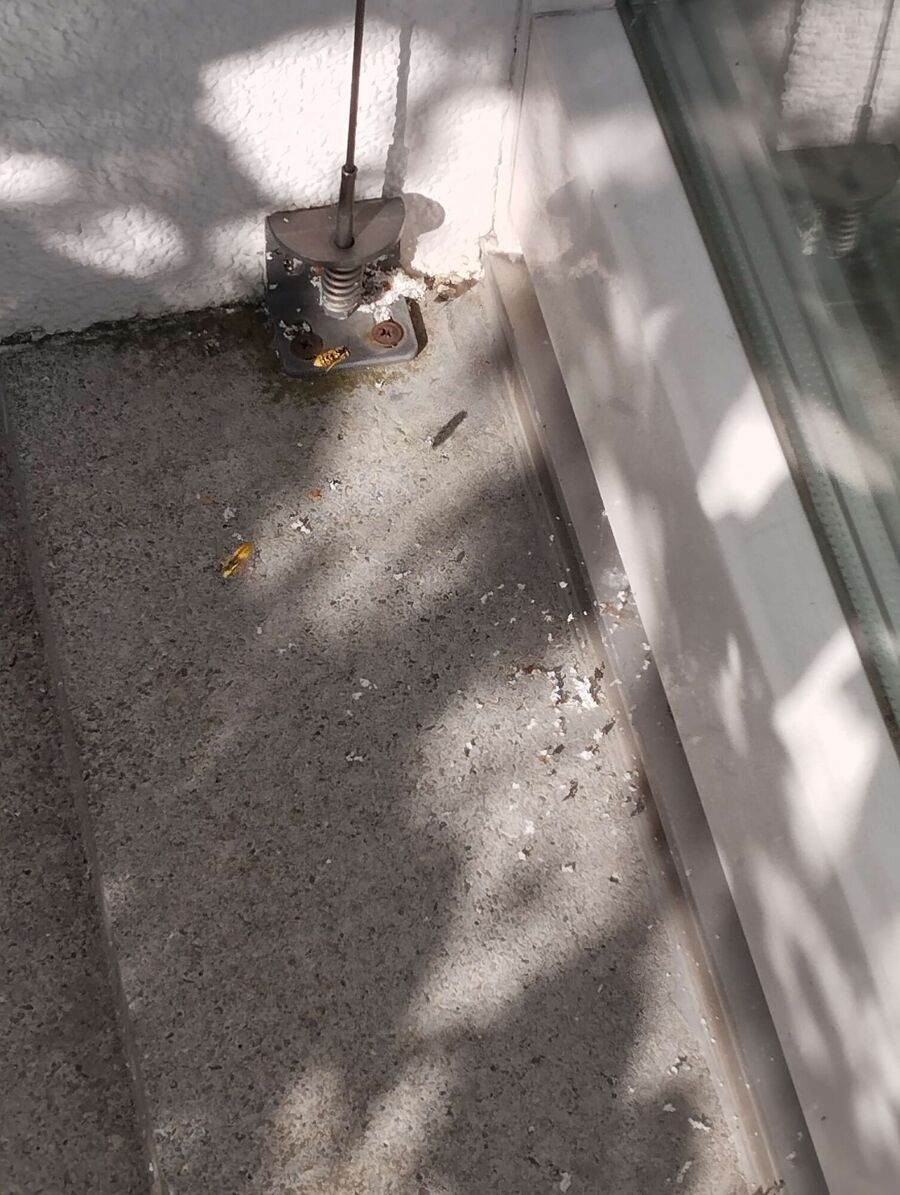 Bee nest at the house remove