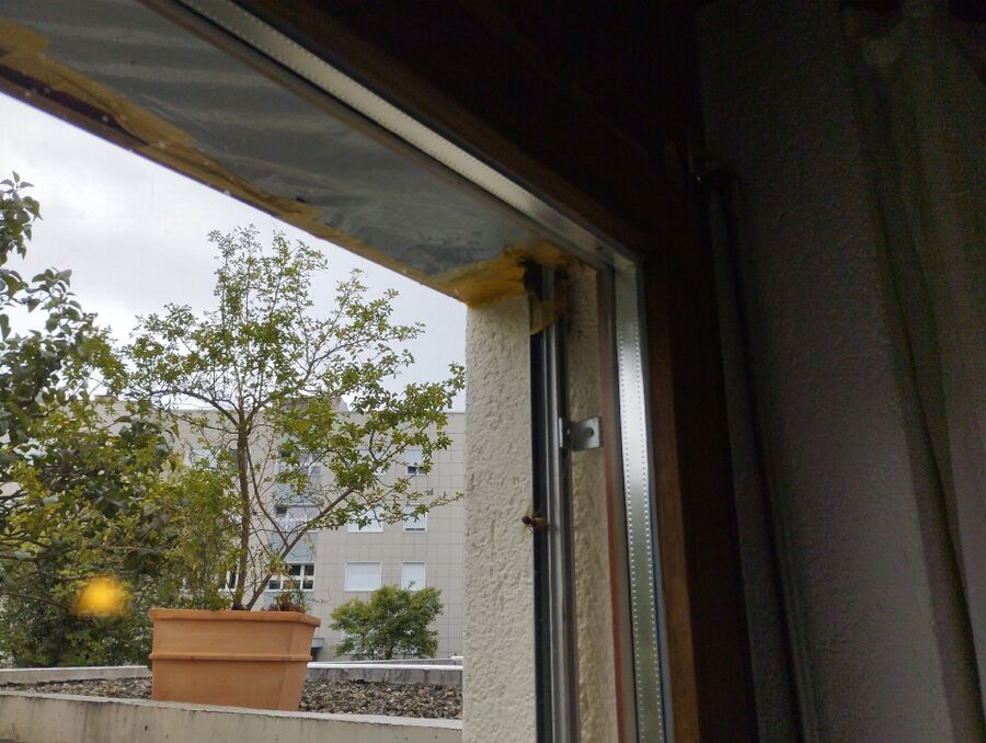 Bee nest at the house remove