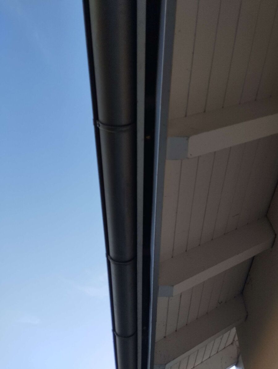 Bee nest at the house remove