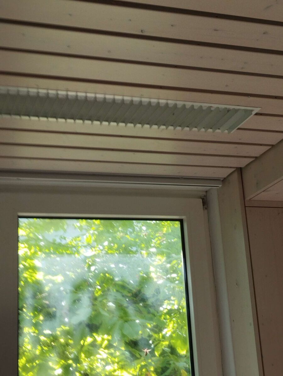 Bee nest at the house remove