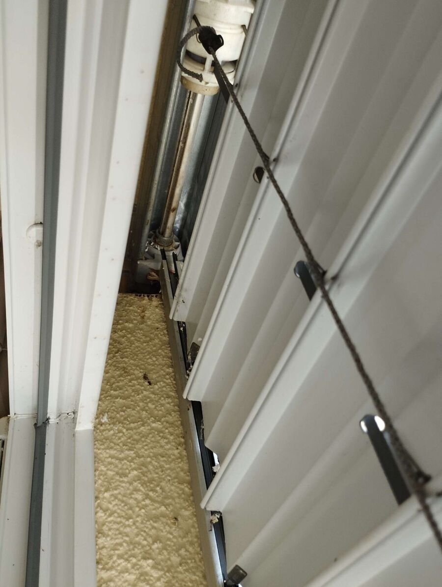 Bee nest at the house remove