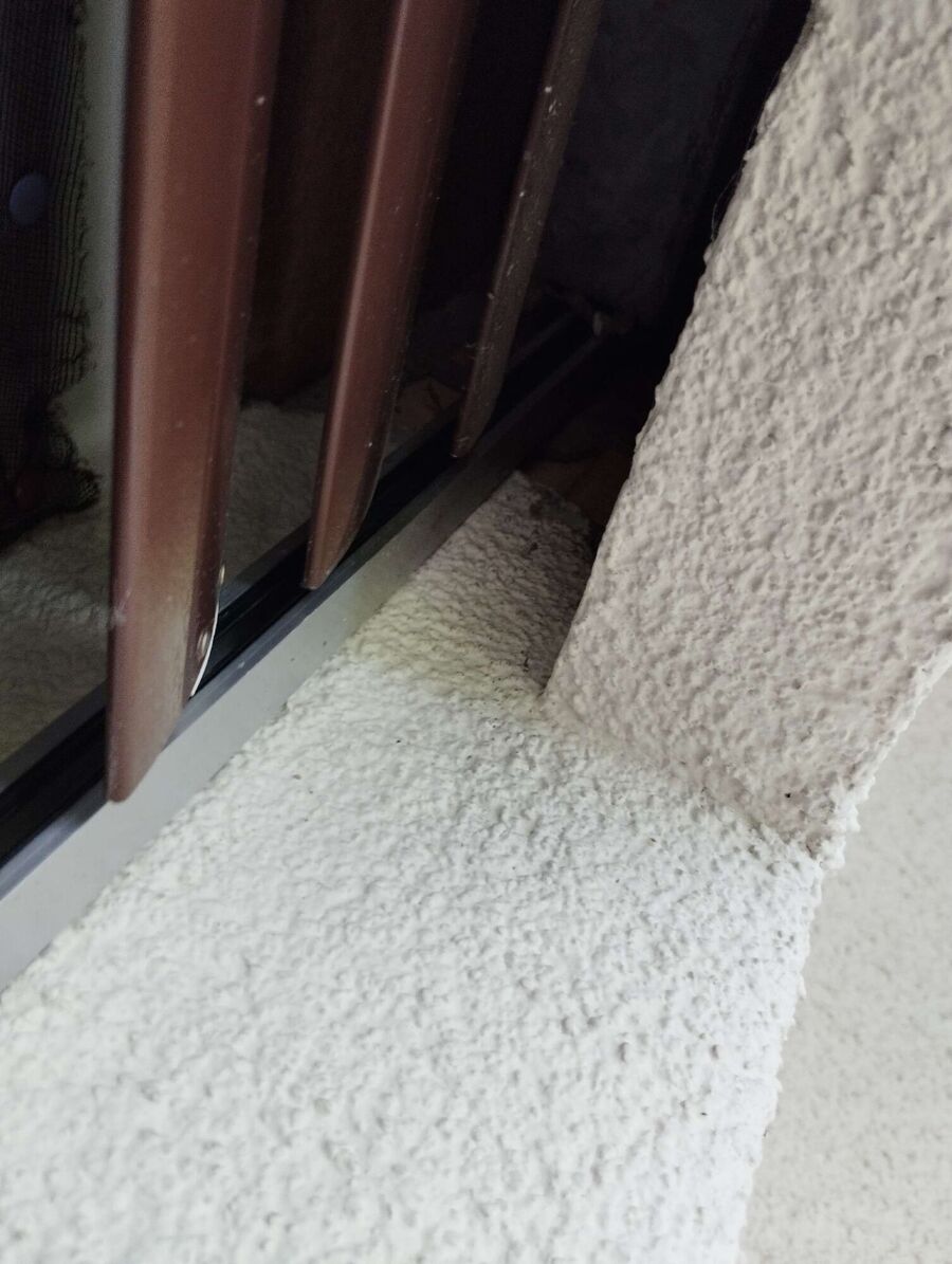 Bee nest at the house remove