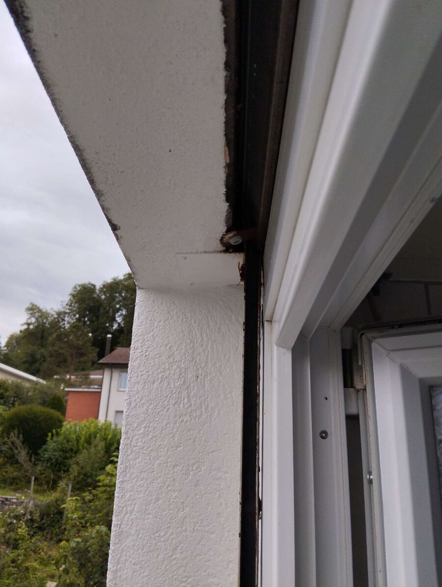 Relocate bees & remove bee nest