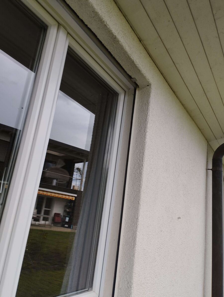 Bee nest at the house remove