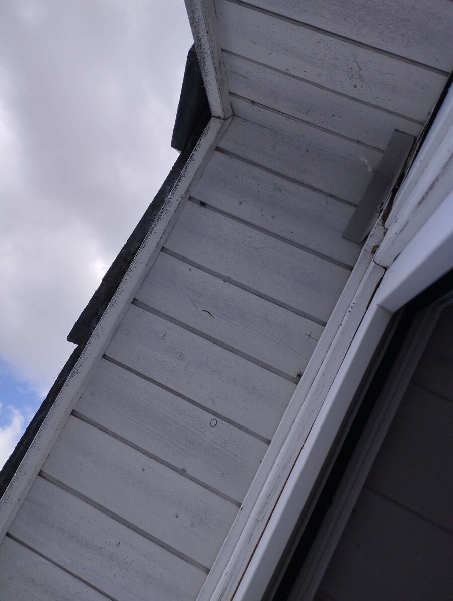 Bee nest at the house remove