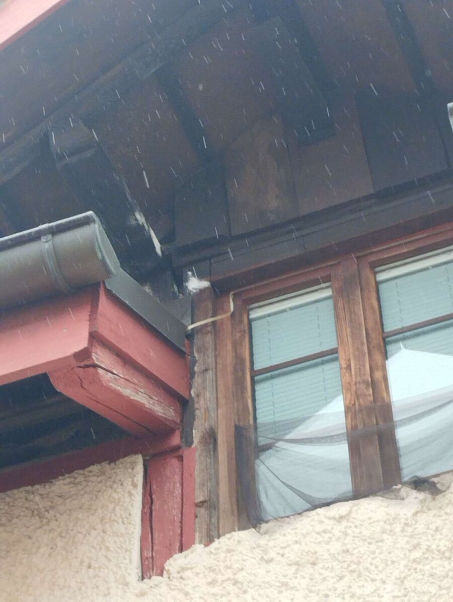 Bee nest at the house remove