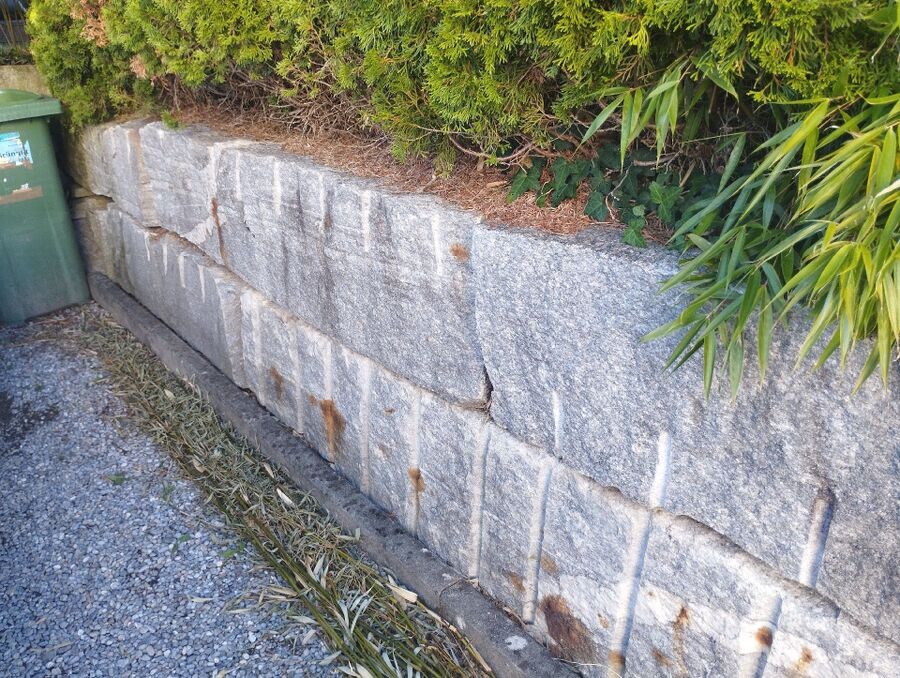 Bee nest at the house remove