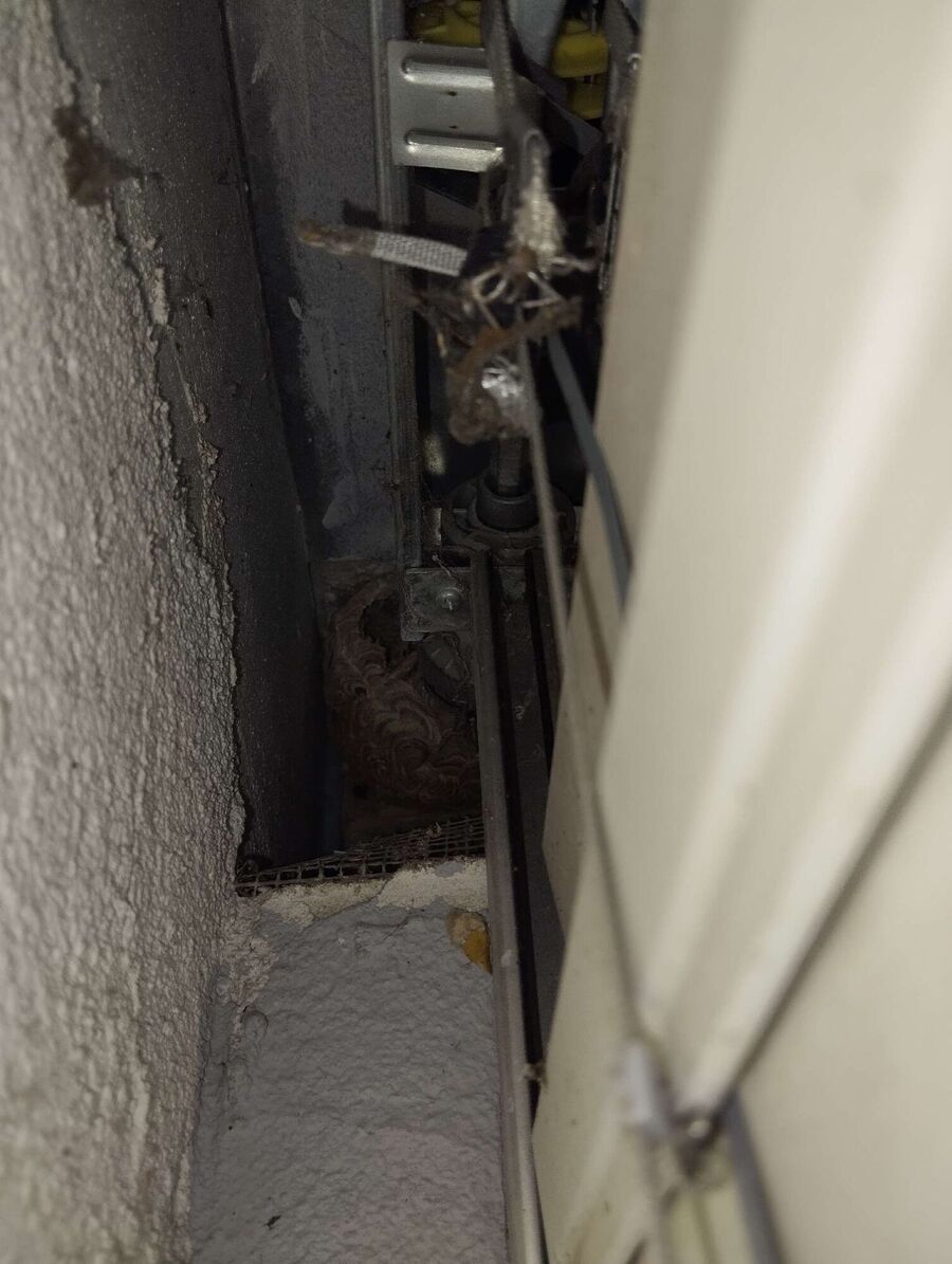 Bee nest at the house remove