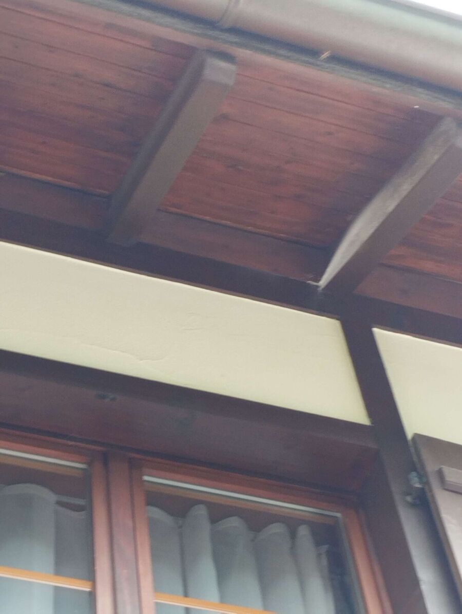 Bee nest at the house remove