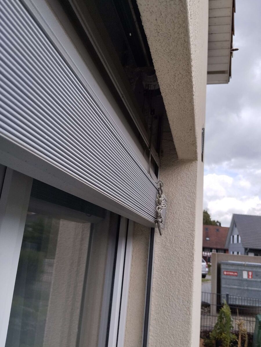 Bee nest at the house remove