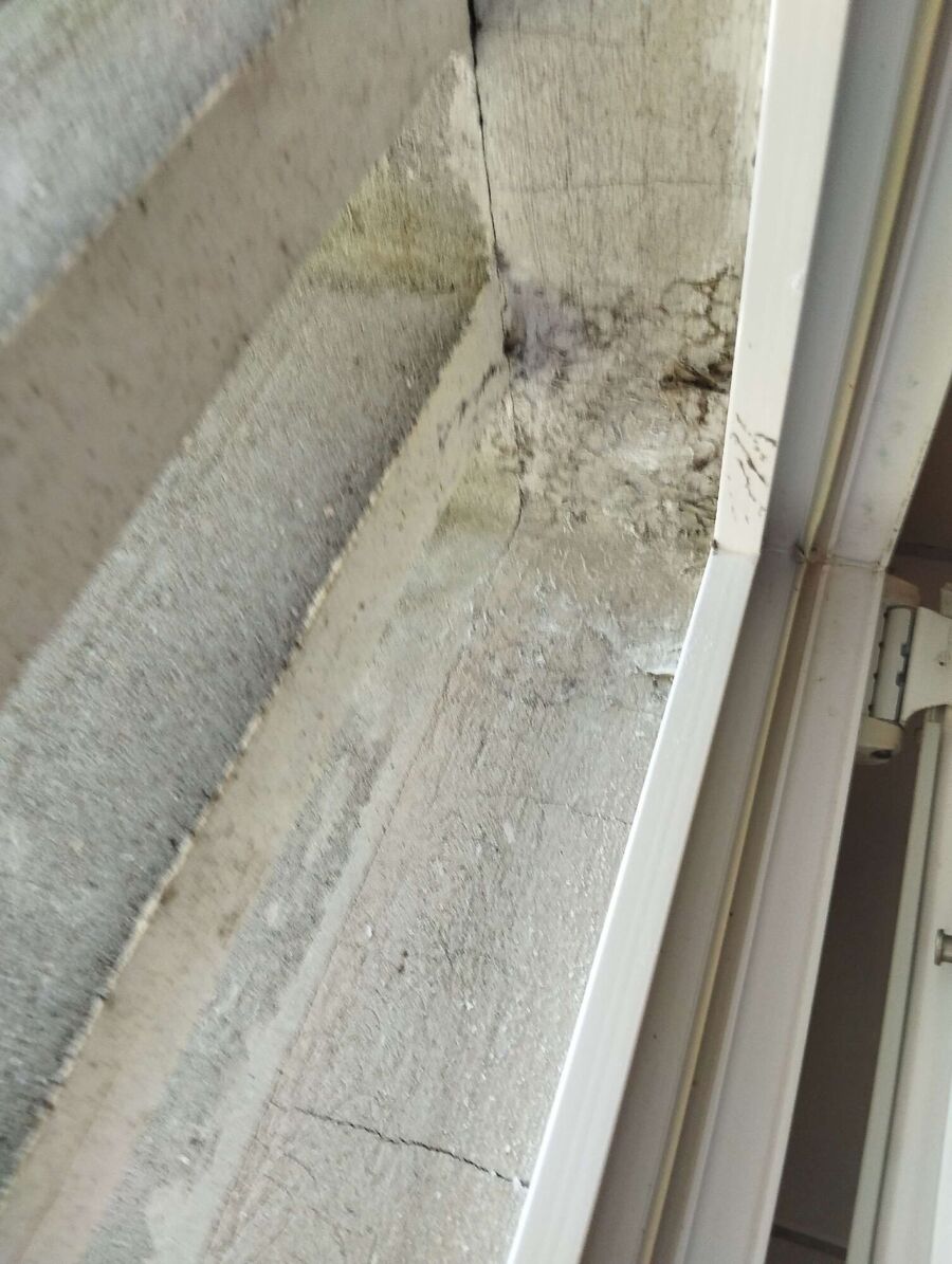 Bee nest at the house remove