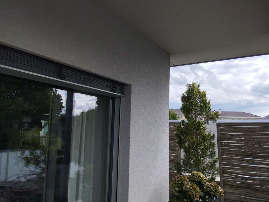 Relocate bees & remove bee nest