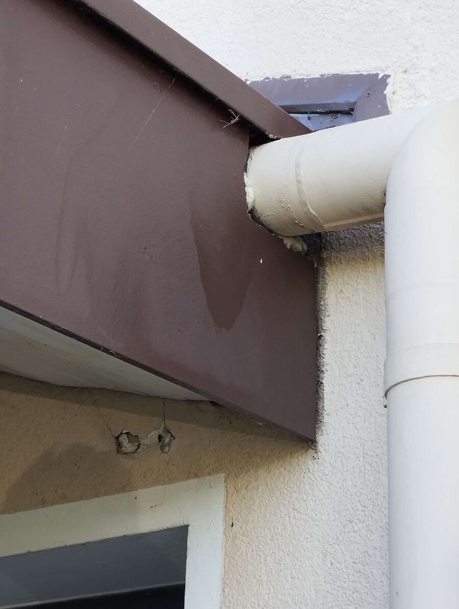 Bee nest at the house remove