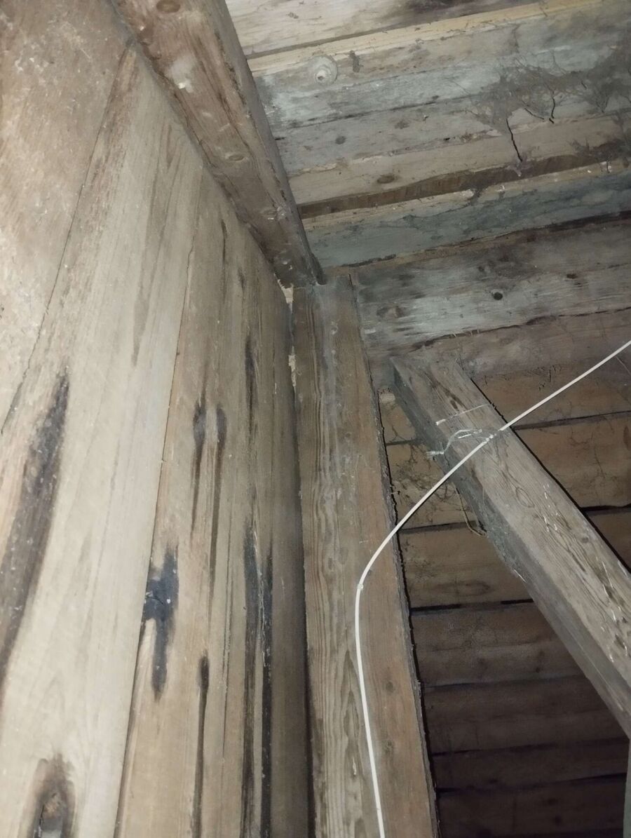 Bee nest at the house remove