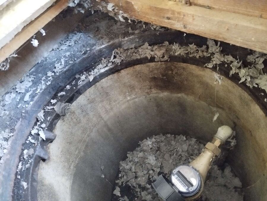 Bee nest at the house remove