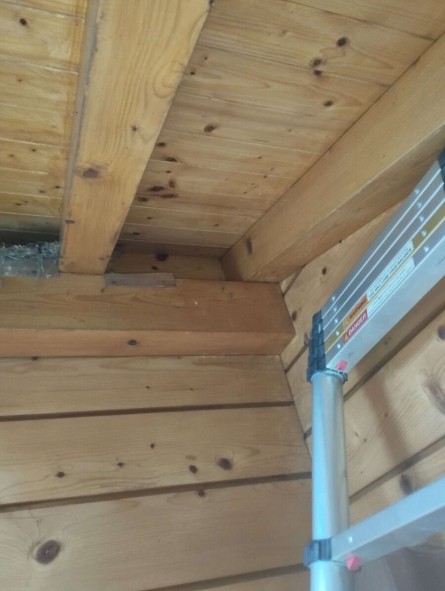 Bee nest at the house remove