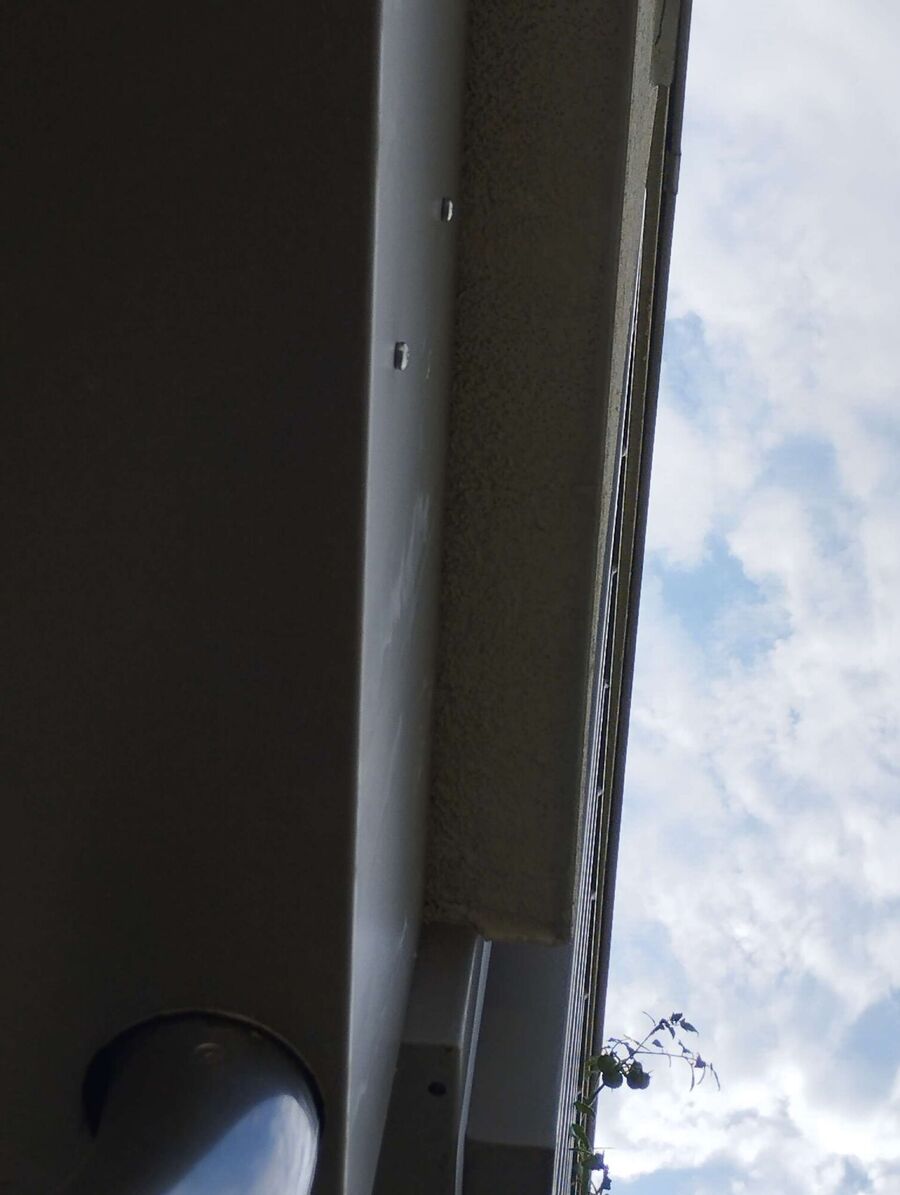 Bee nest at the house remove