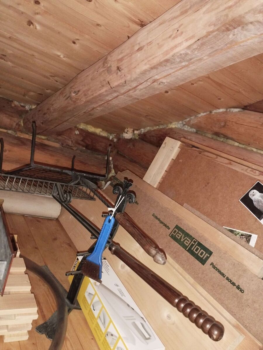 Relocate bees & remove bee nest