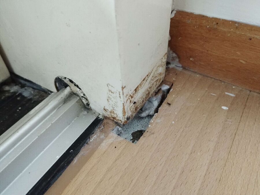 Bee nest at the house remove