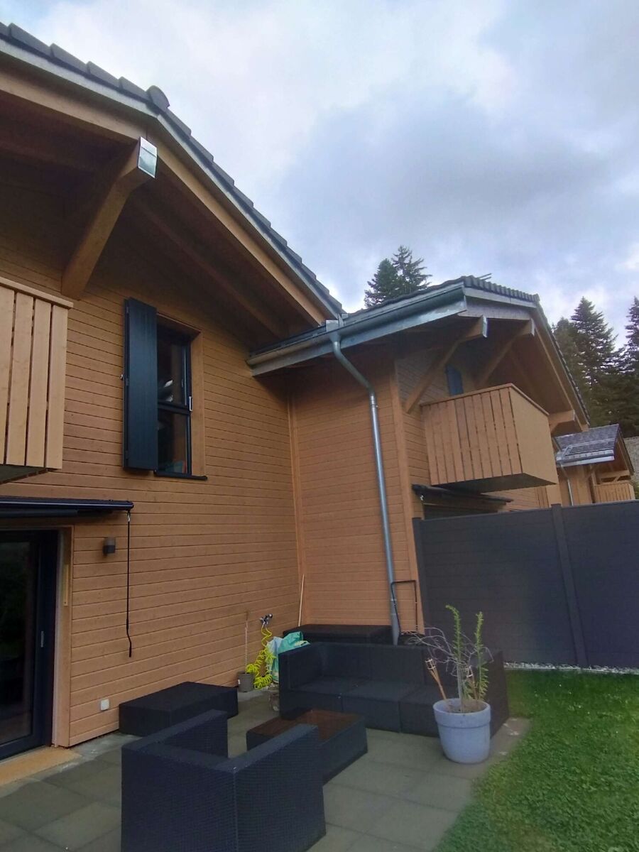 Relocate bees & remove bee nest