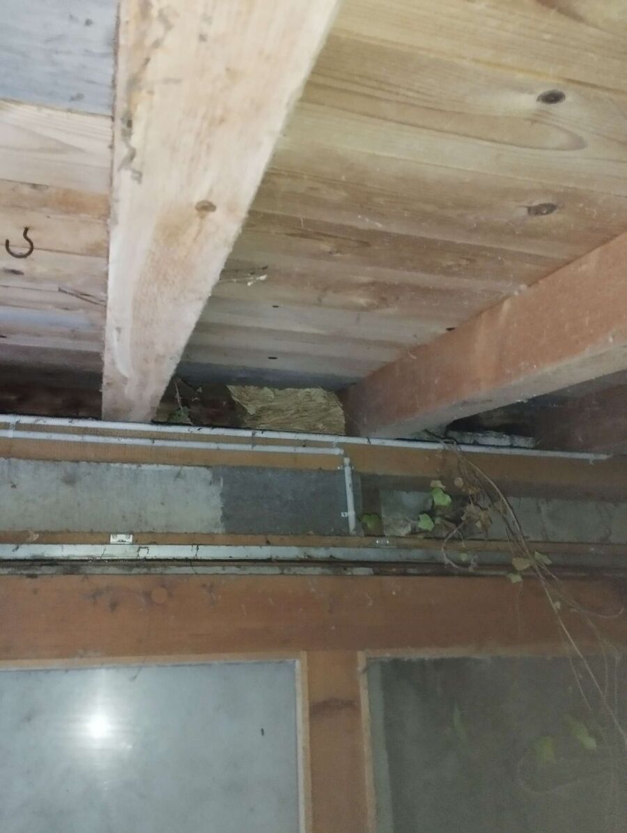 Bee nest at the house remove