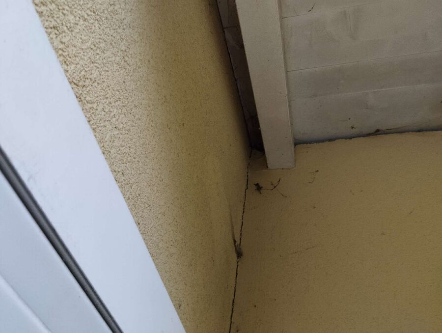 Bee nest at the house remove