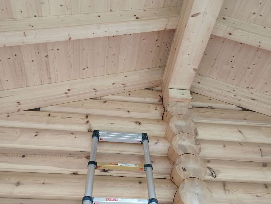 Relocate bees & remove bee nest