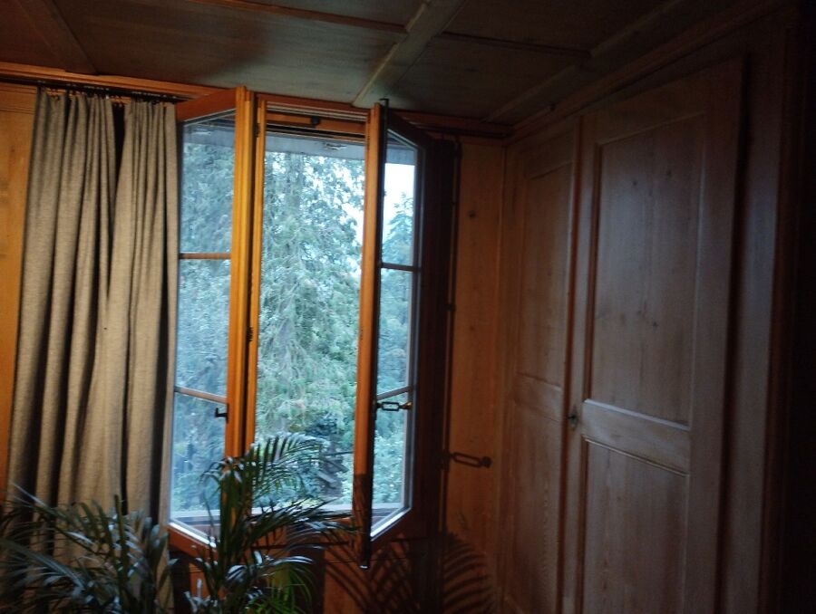 Bee nest at the house remove