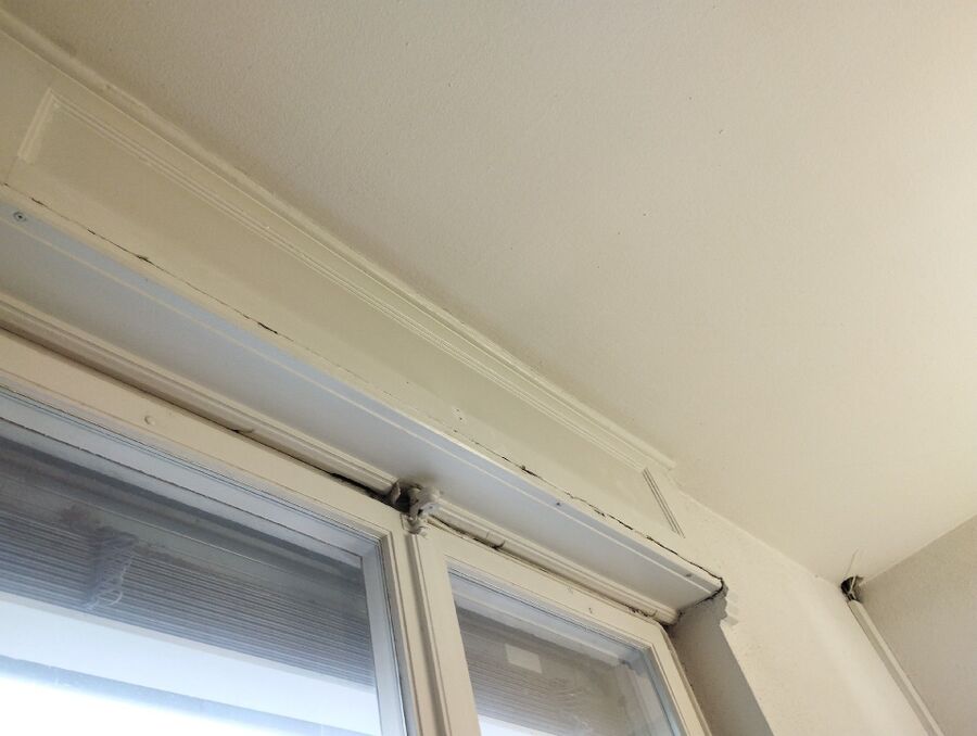 Relocate bees & remove bee nest