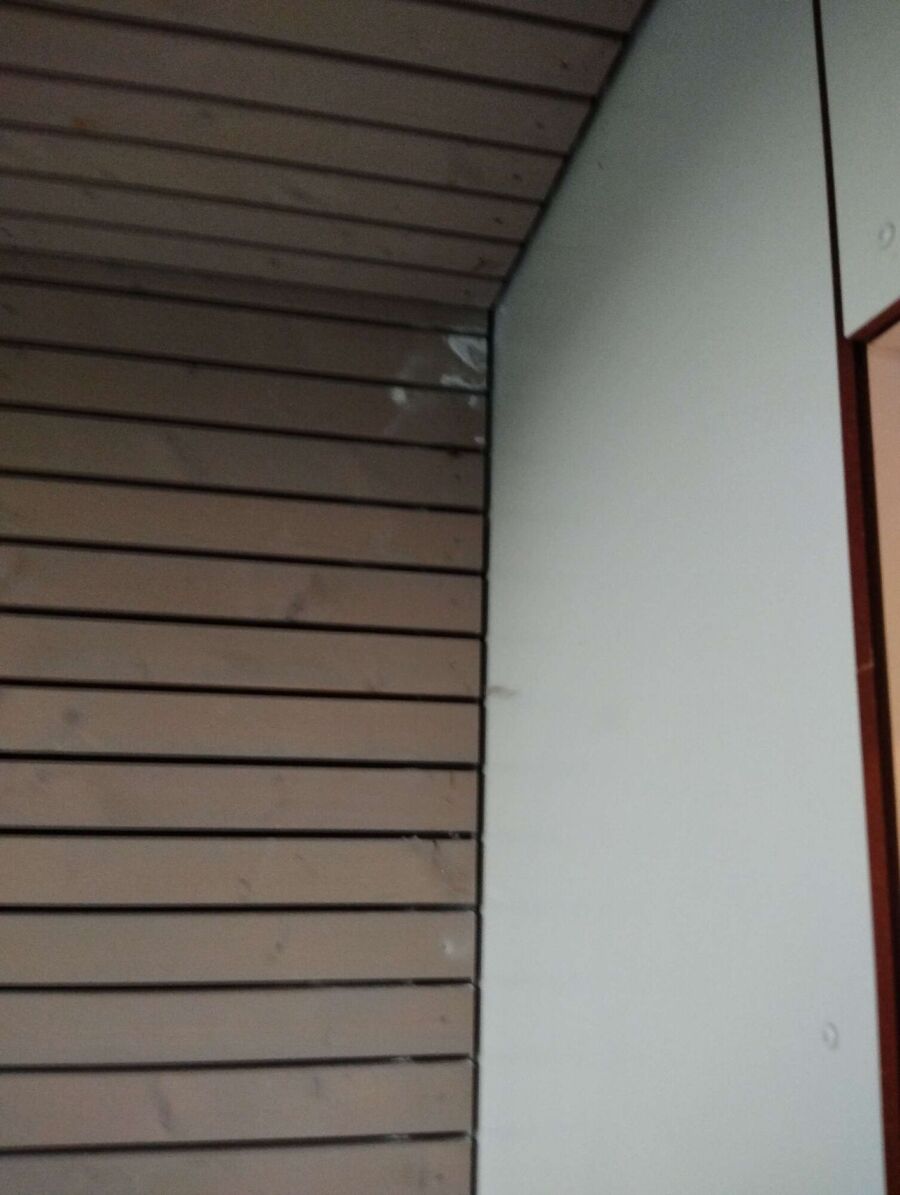 Bee nest at the house remove