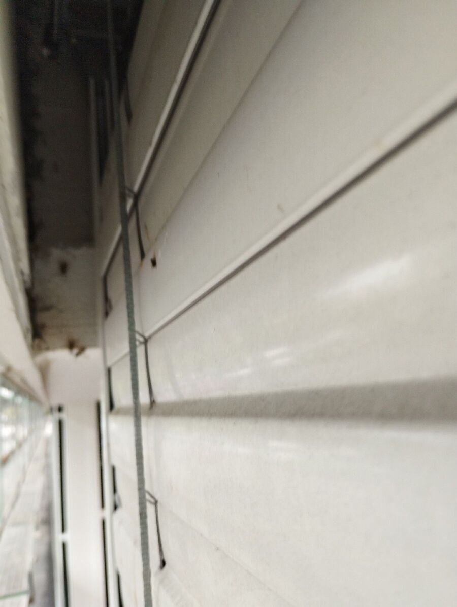 Bee nest at the house remove