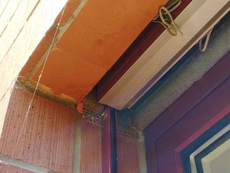 Bee nest at the house remove