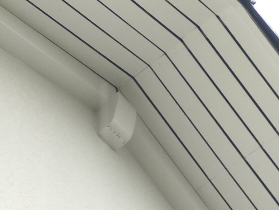 Bee nest at the house remove