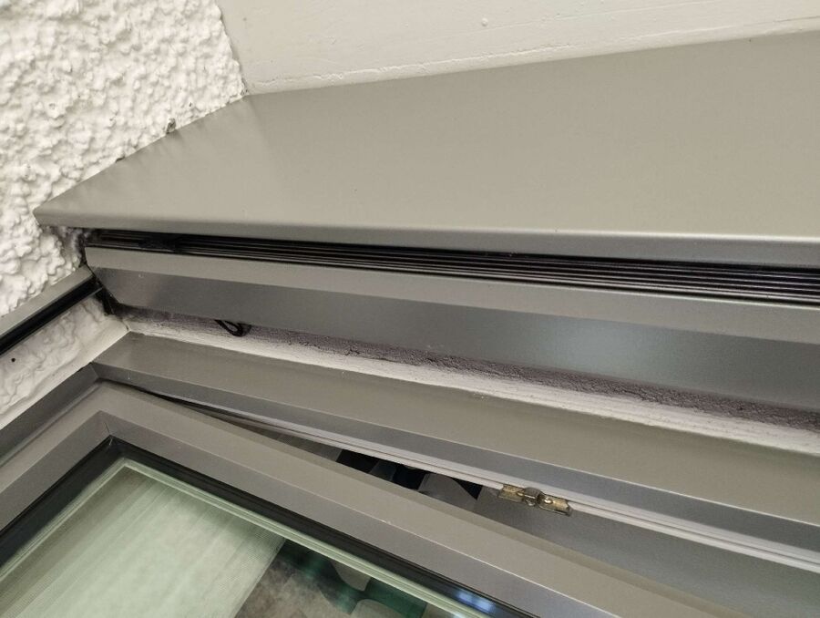 Relocate bees & remove bee nest