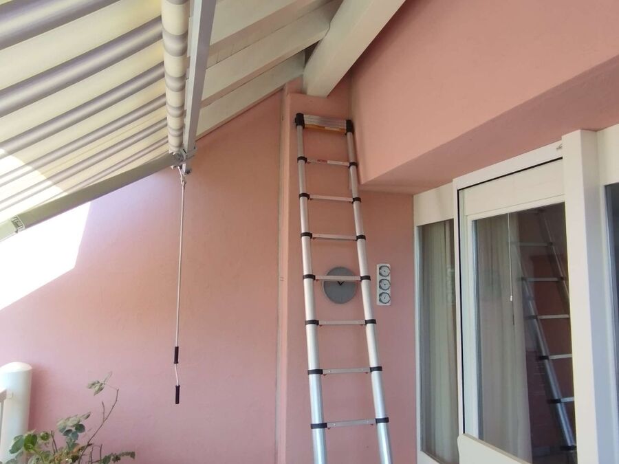 Relocate bees & remove bee nest