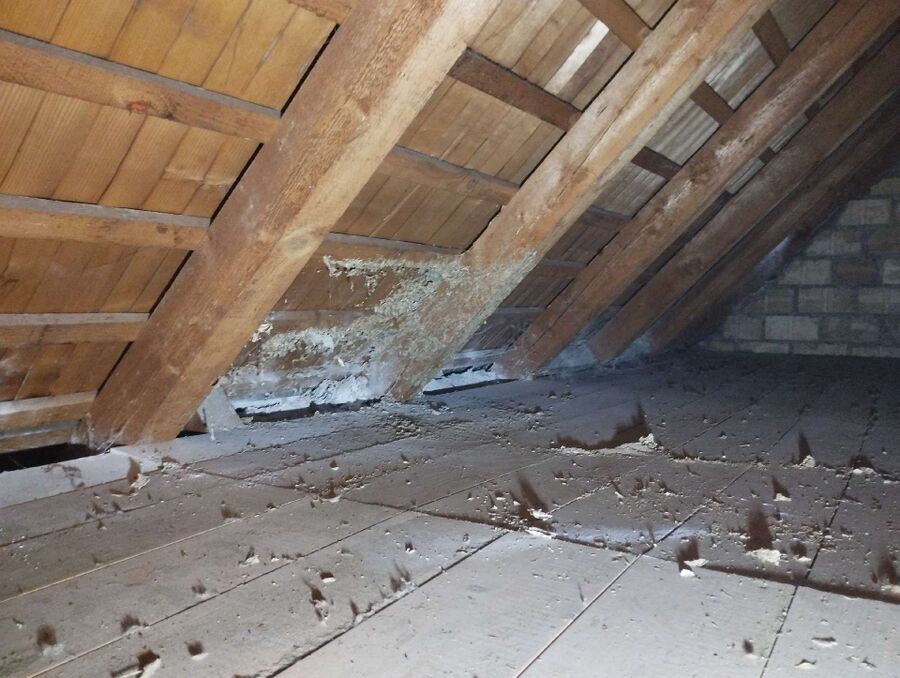 Bee nest at the house remove