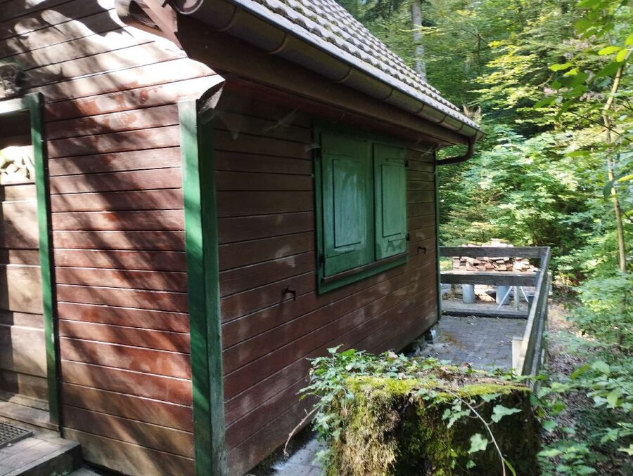 Bee nest at the house remove