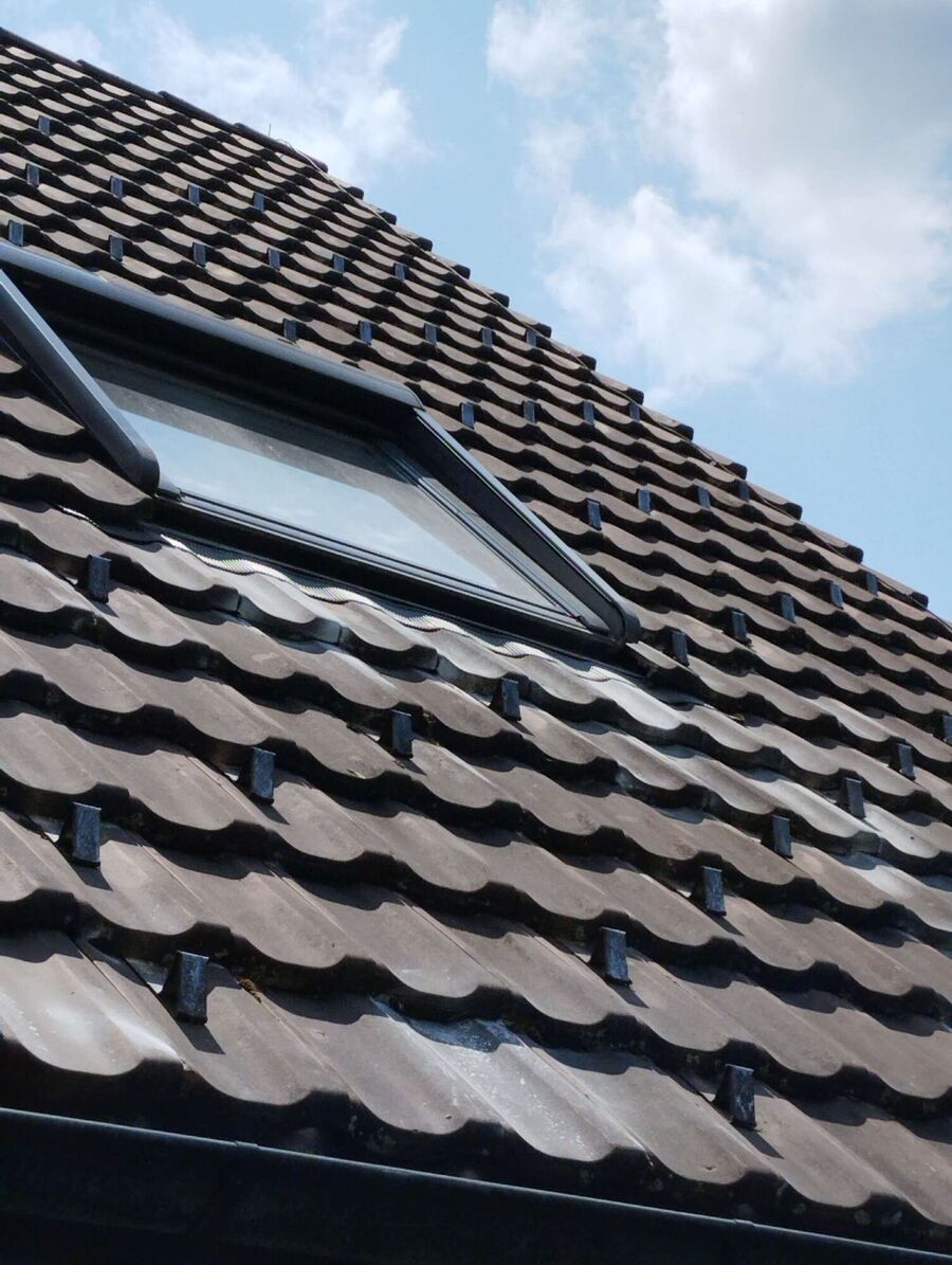 Bee nest at the house remove