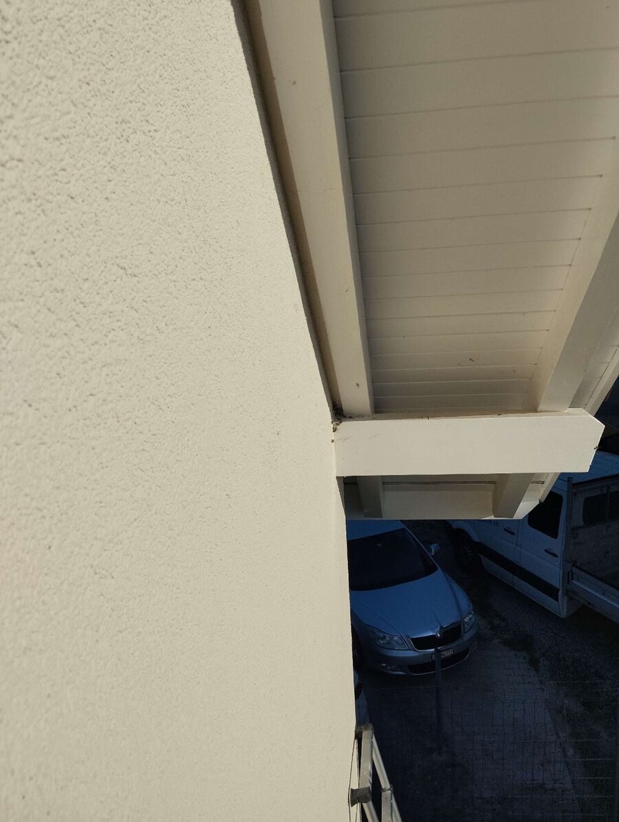 Bee nest at the house remove